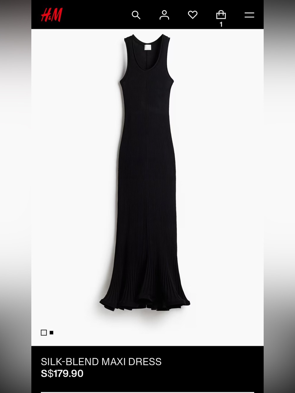 H&M Silk Blend Maxi Dress